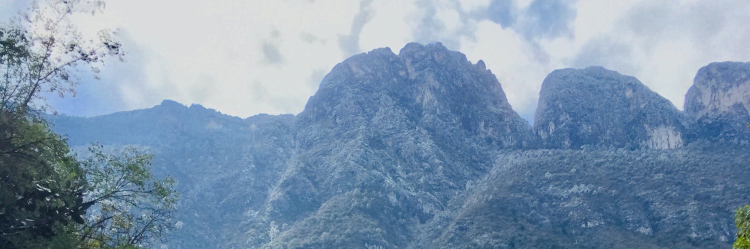 Brian banner