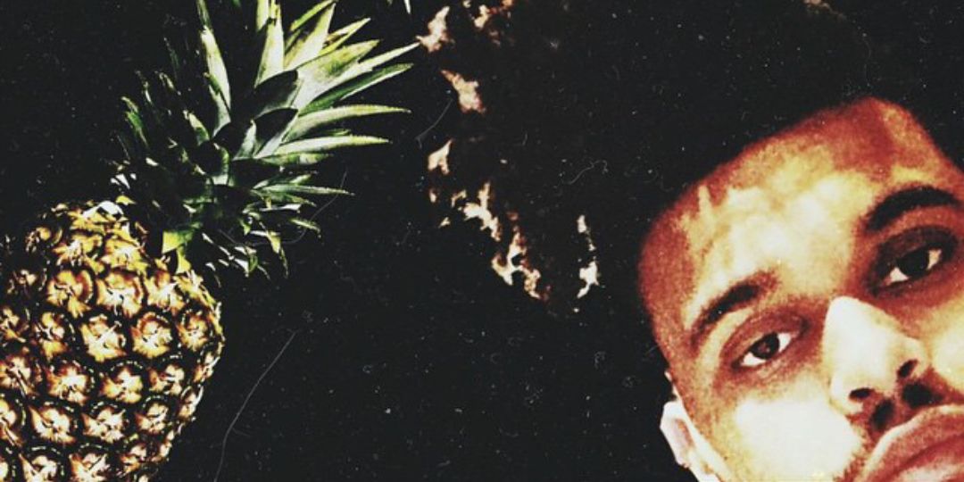 RACHAELNEXTDOOR's profile banner image