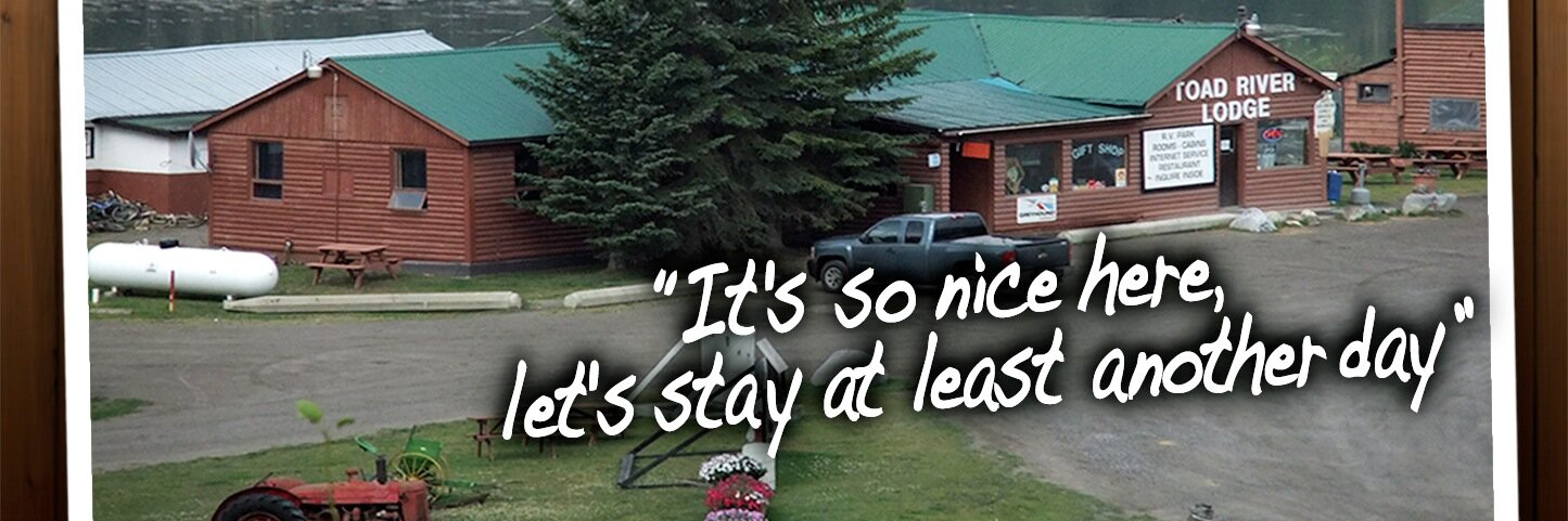 toadriverlodge's profile banner image