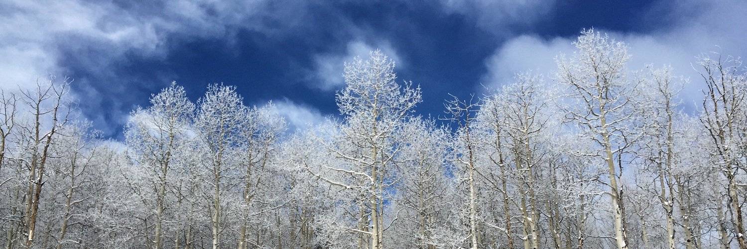 ChadSpickler's profile banner image