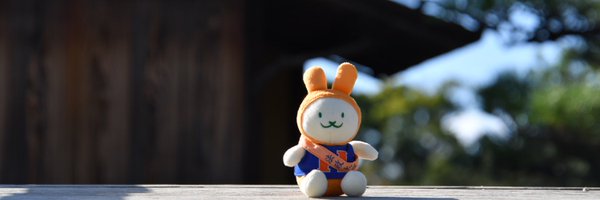 spoho11 Profile Banner