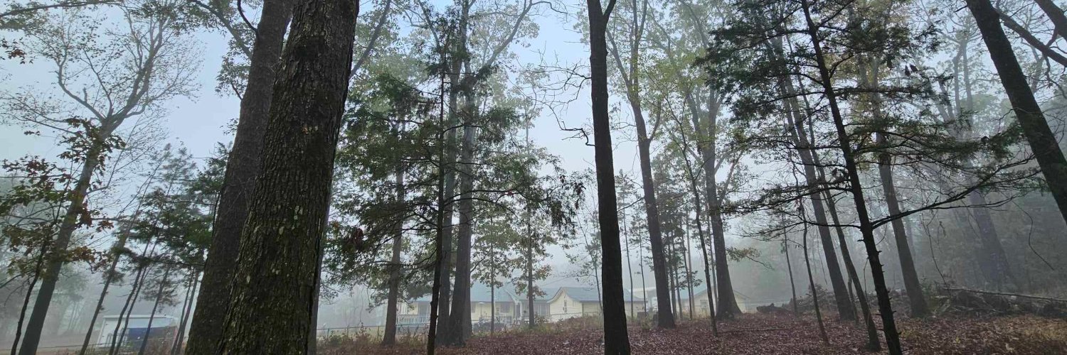 ElementLK's profile banner image