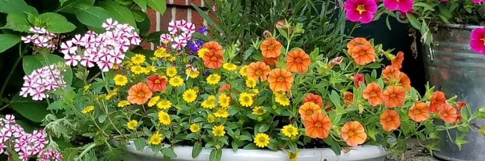 ZMCHD's profile banner image