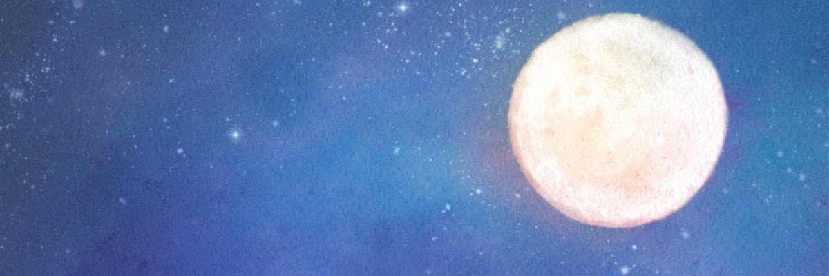 🌸☀️Lamplighter🌙🐷 banner