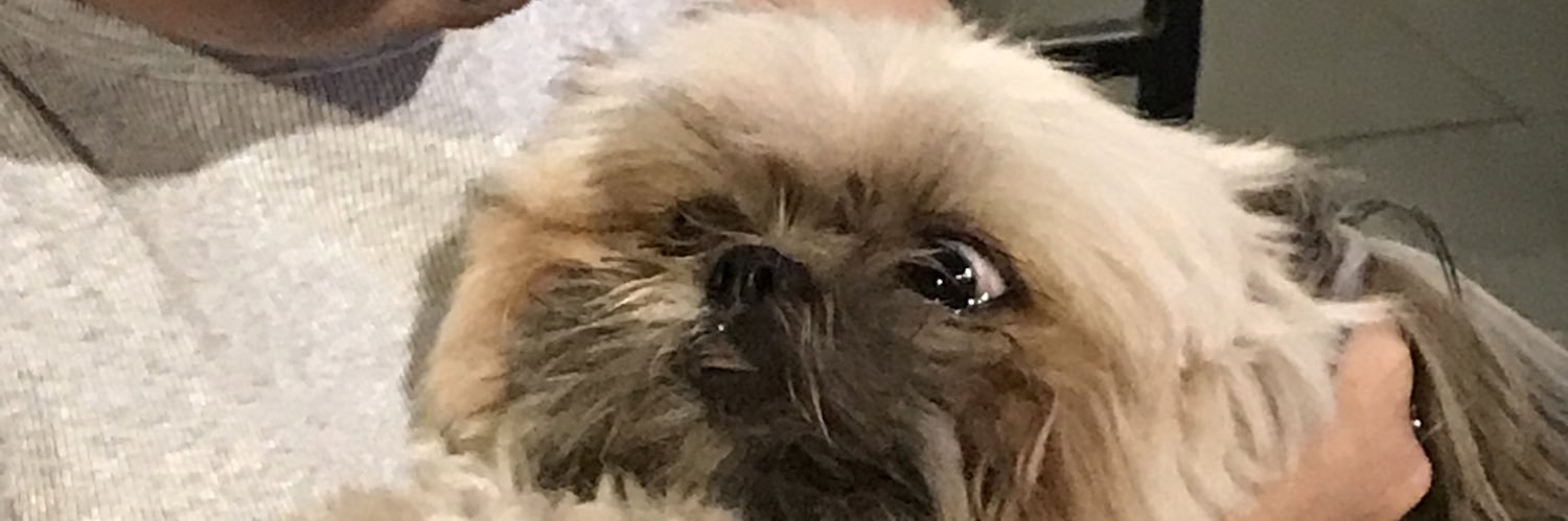 normaldelivery's profile banner image