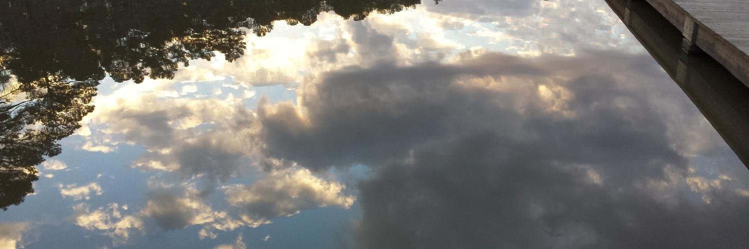 ShimpShamp's profile banner image