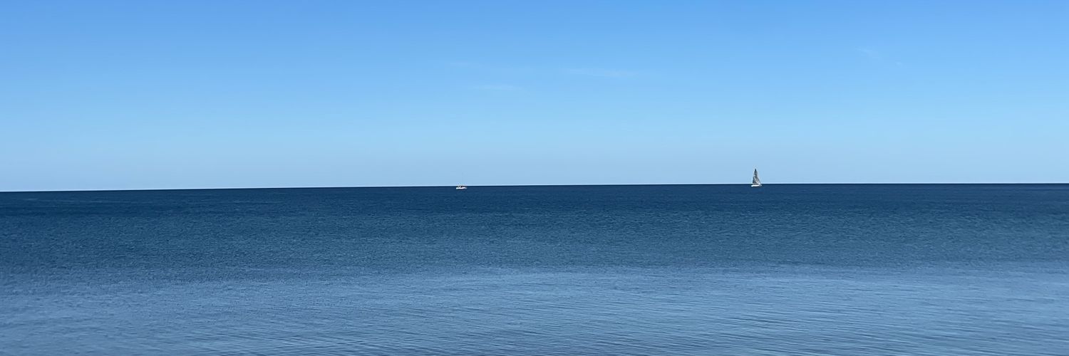 Aleksandar Gavric banner