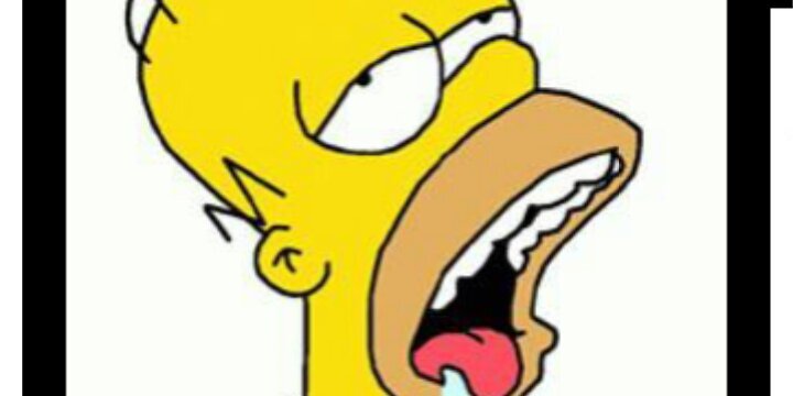 BHS_CamelToes's profile banner image