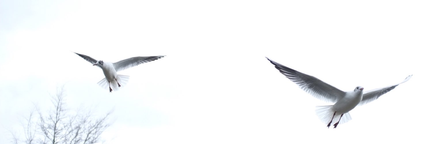 mobicheung's profile banner image
