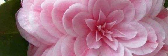Amal62014's profile banner image