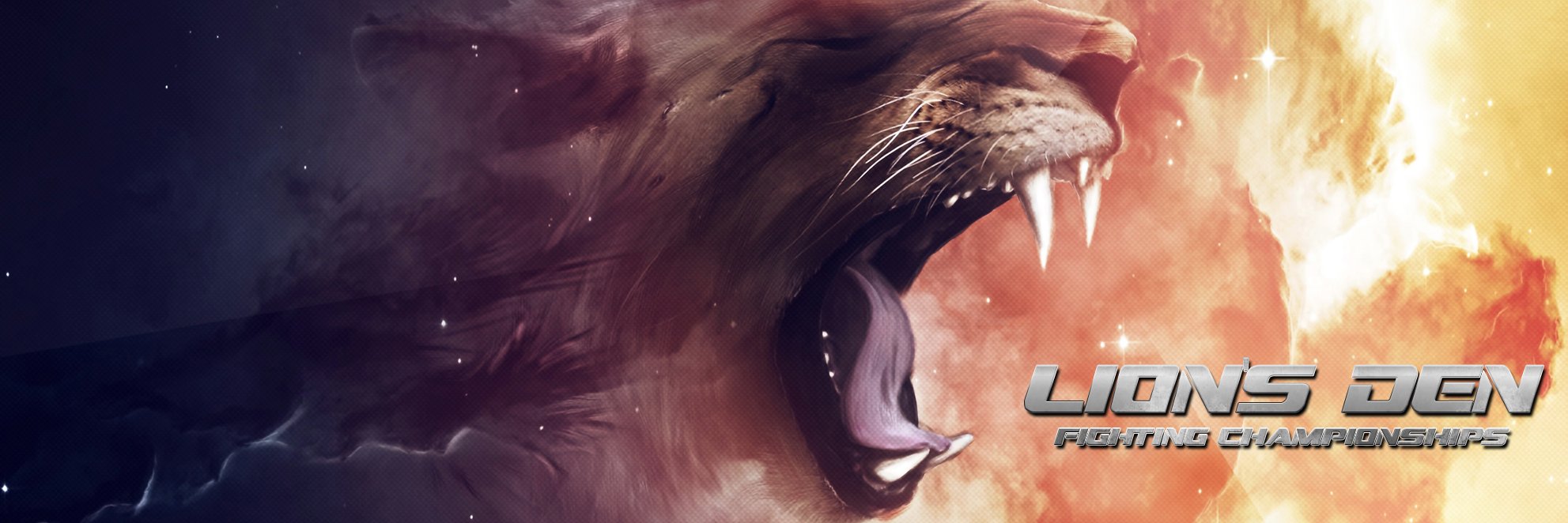 LionsDenFC's profile banner image