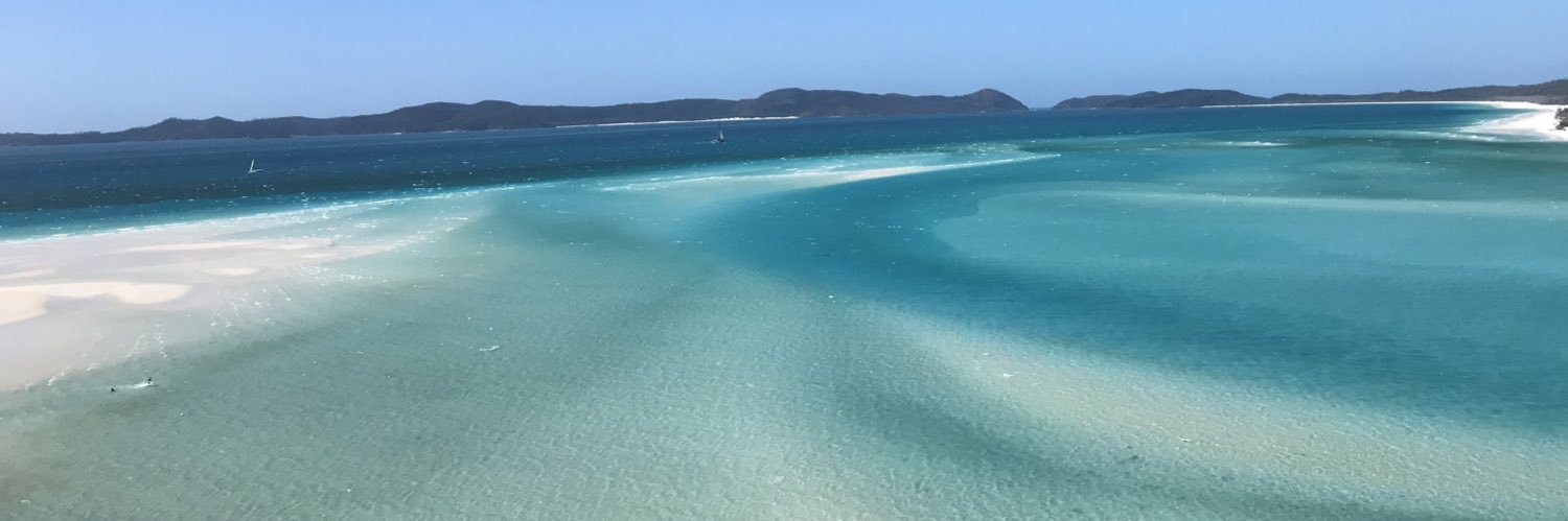 Travis M. Scott, PhD banner