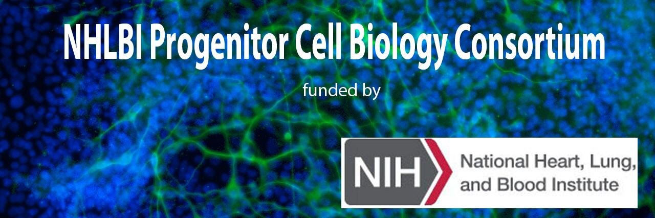 PCBC_NHLBI's profile banner image