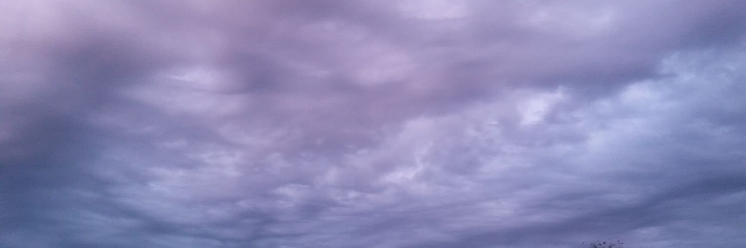 monique_armenta's profile banner image