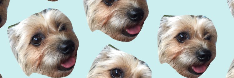 _jnnyry's profile banner image