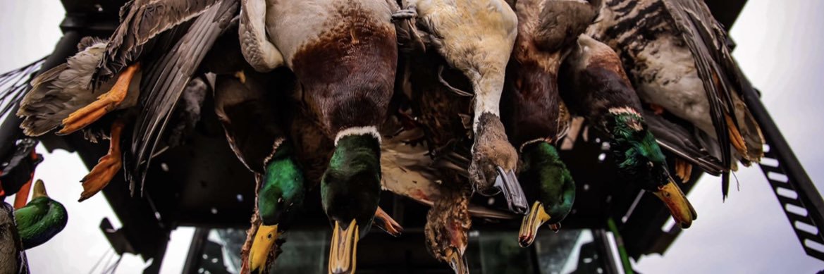 caydens32's profile banner image
