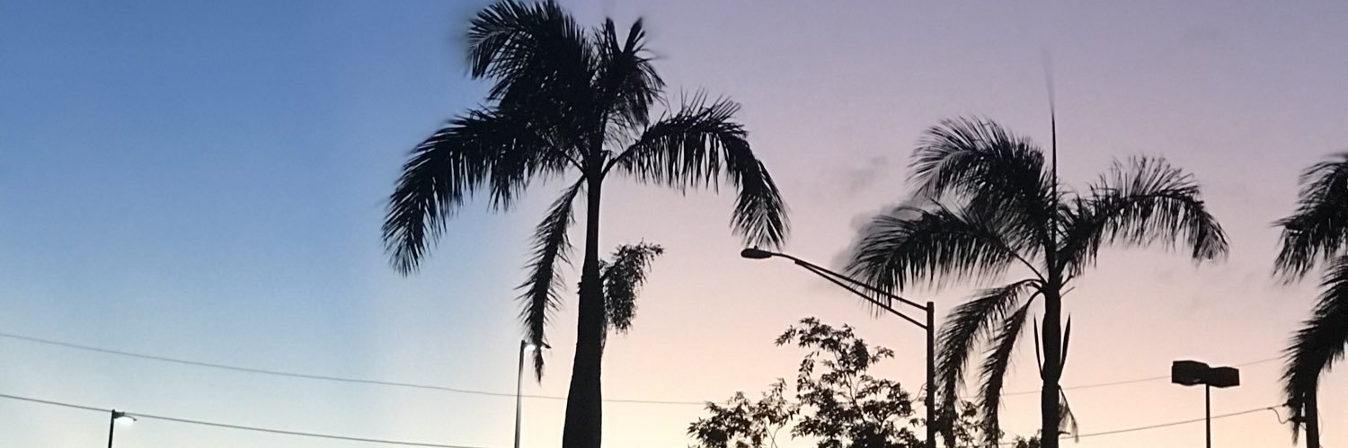 divnerys's profile banner image