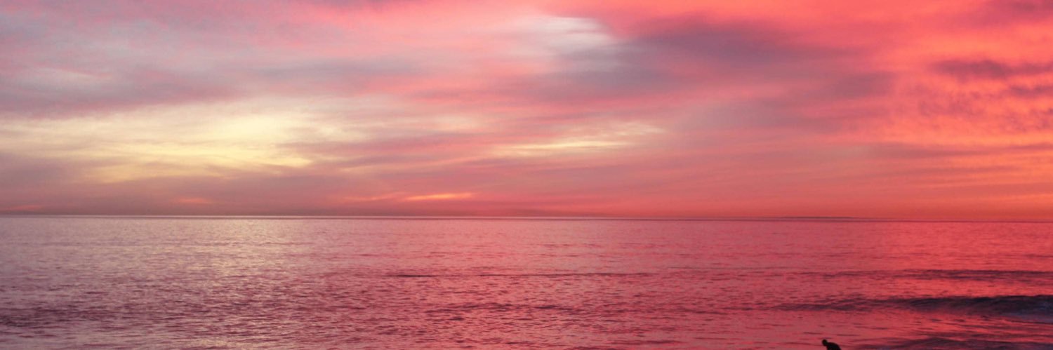 Maria_Alam's profile banner image