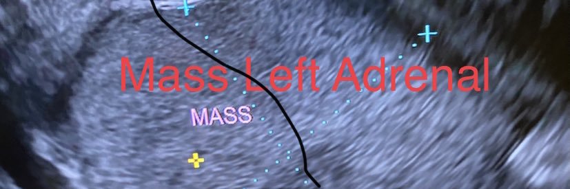 dr_lewey's profile banner image