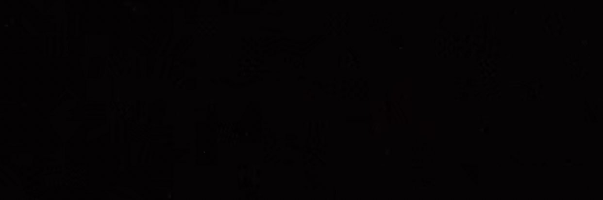 Robin Raynelle banner