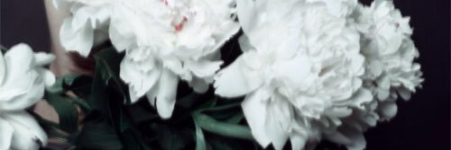 Mardeness's profile banner image