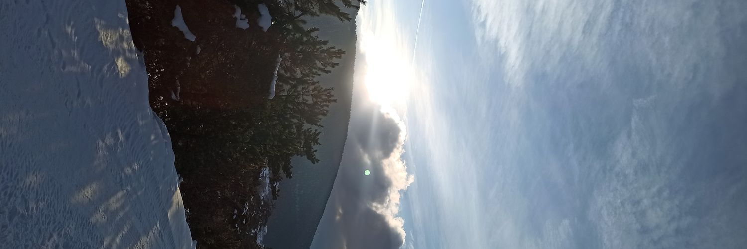hemmsire's profile banner image