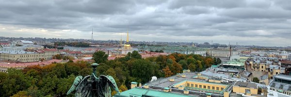 lilycap_ Profile Banner
