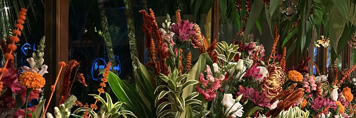 camillescaff's profile banner image