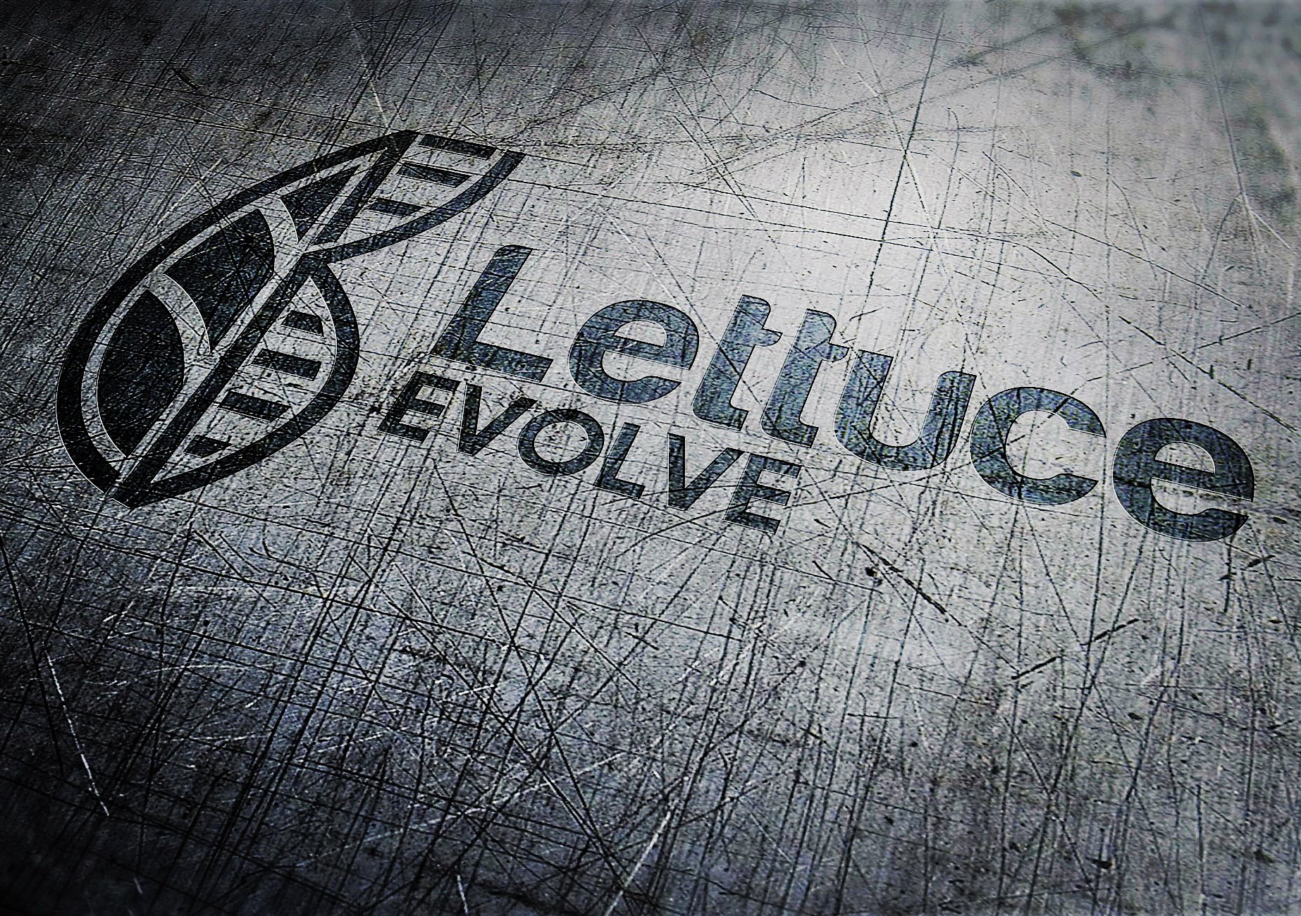 LettuceEvolve's profile banner image