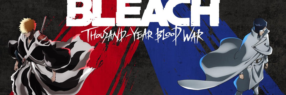 DISCIPLINE & Systems banner