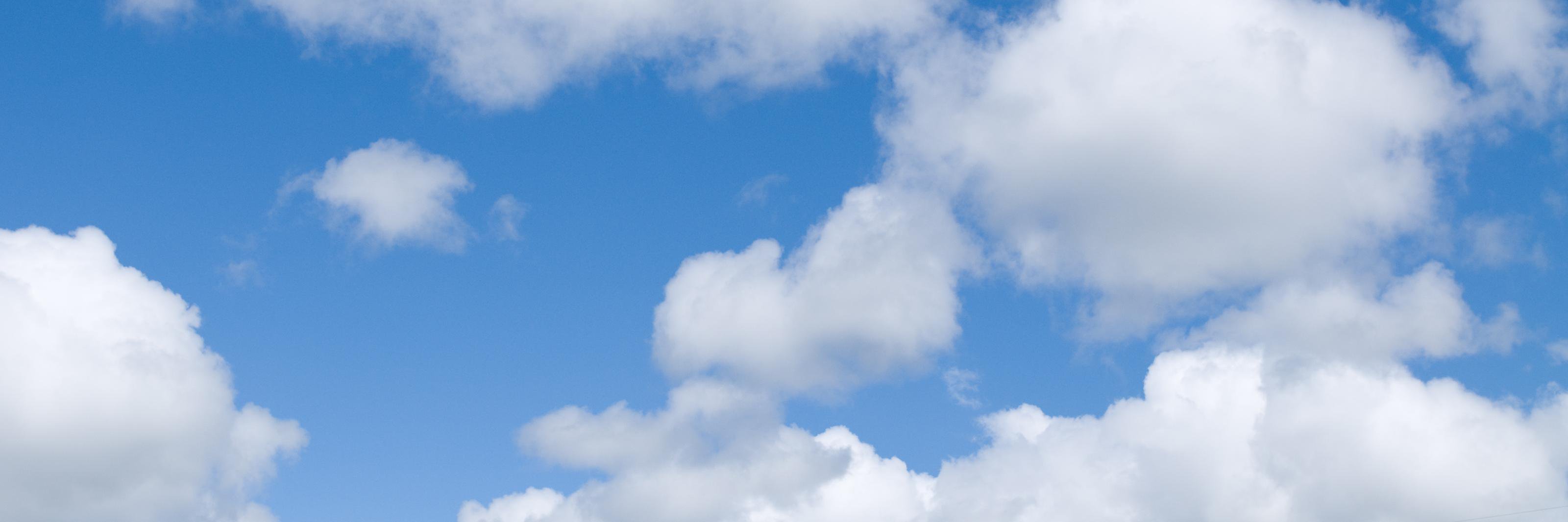 koifish_'s profile banner image