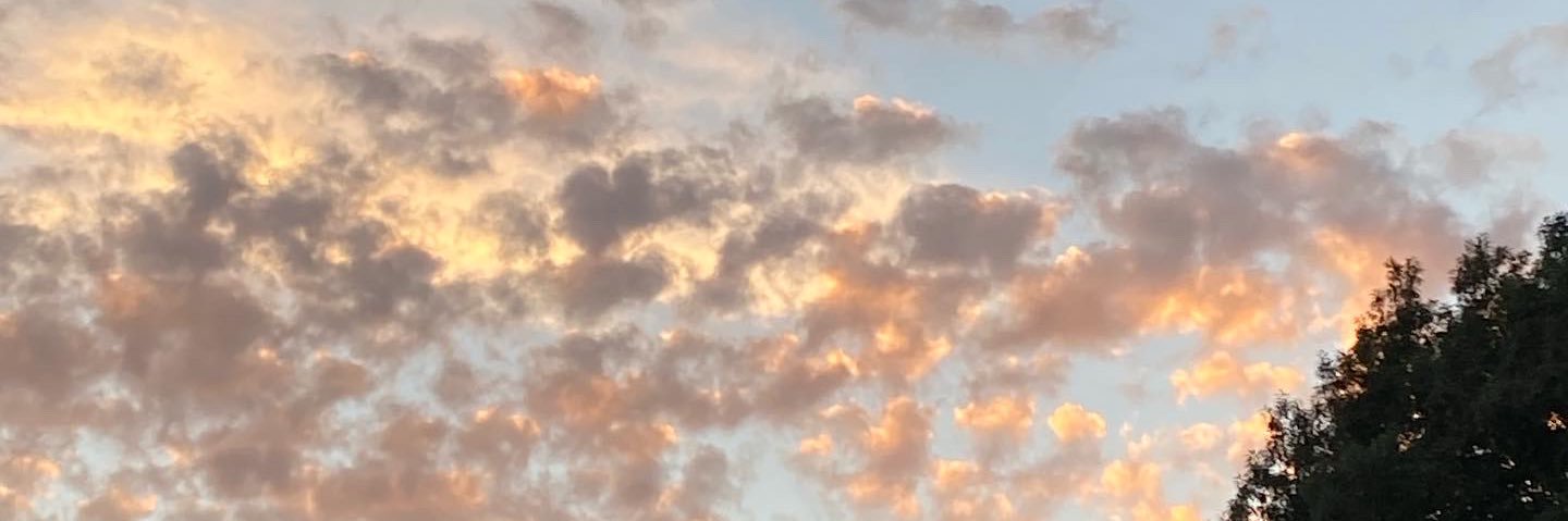 faegyrl's profile banner image
