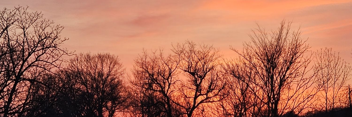 polyesterdinos's profile banner image