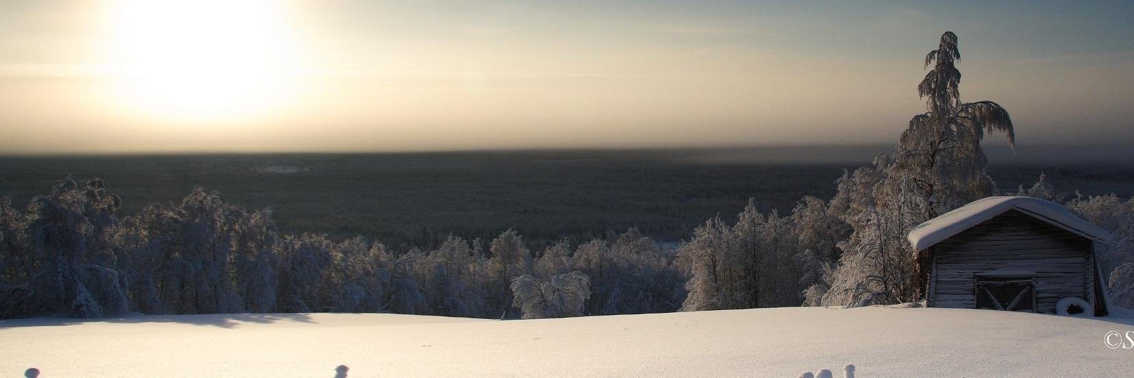 tarkarja's profile banner image