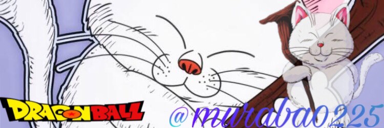 muraba0225's profile banner image
