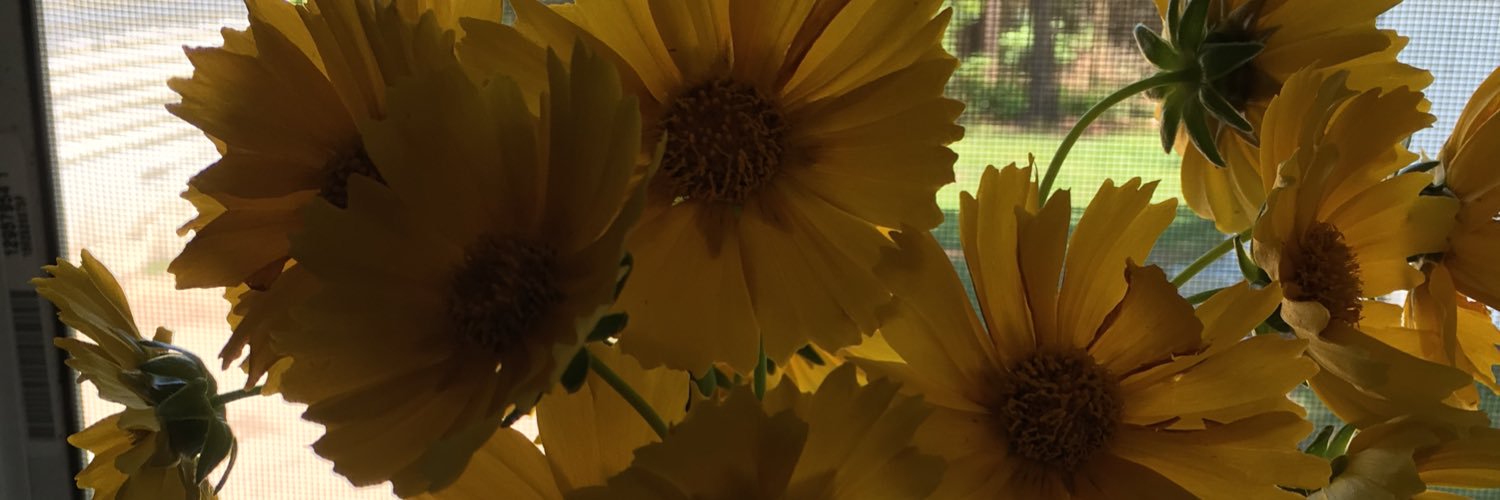 Shanna dundas banner