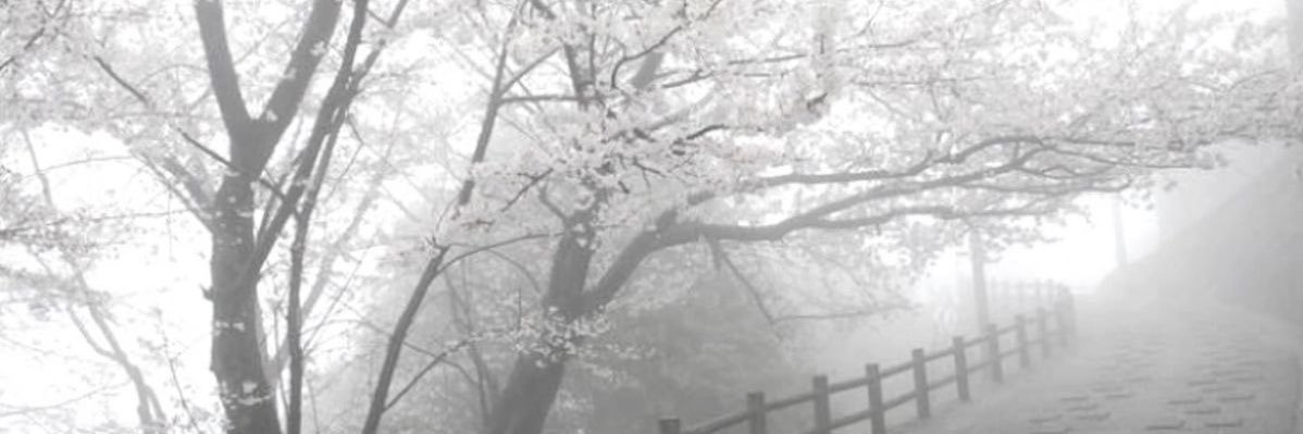 ふみ絵🪽 banner