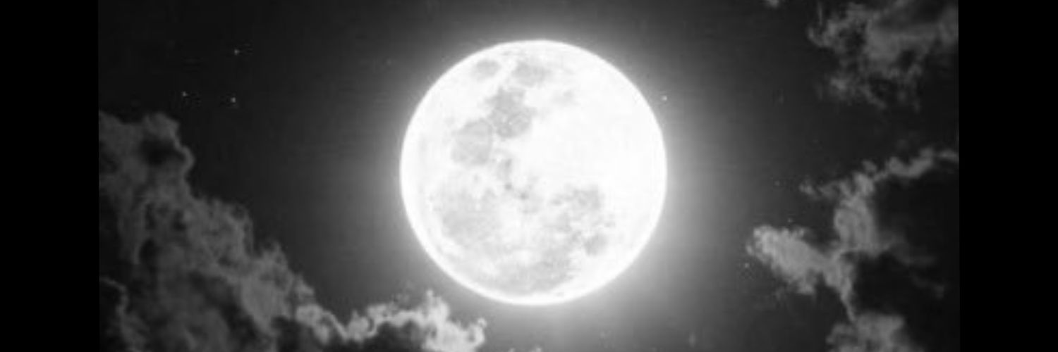 Jany____'s profile banner image