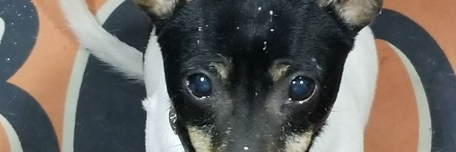 juliebell403's profile banner image