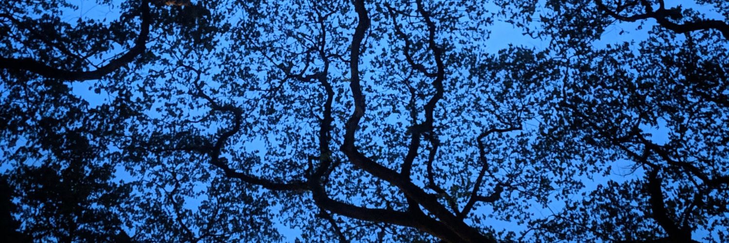 kylebugayong's profile banner image