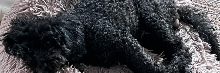 JoseDa92_'s profile banner image