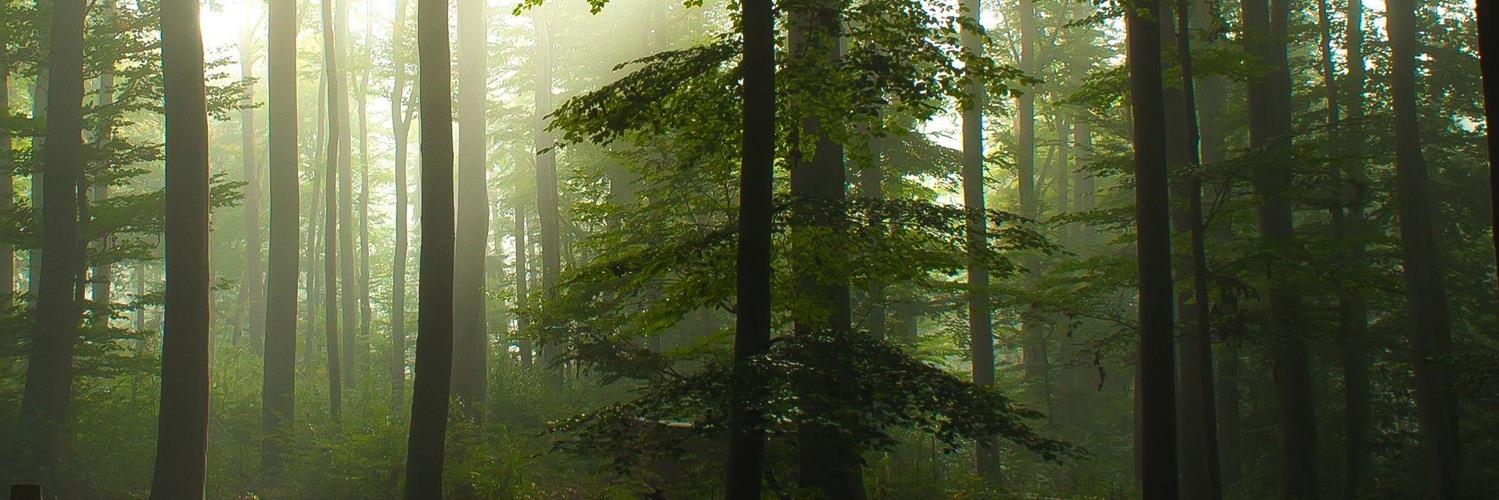 cipherannex's profile banner image