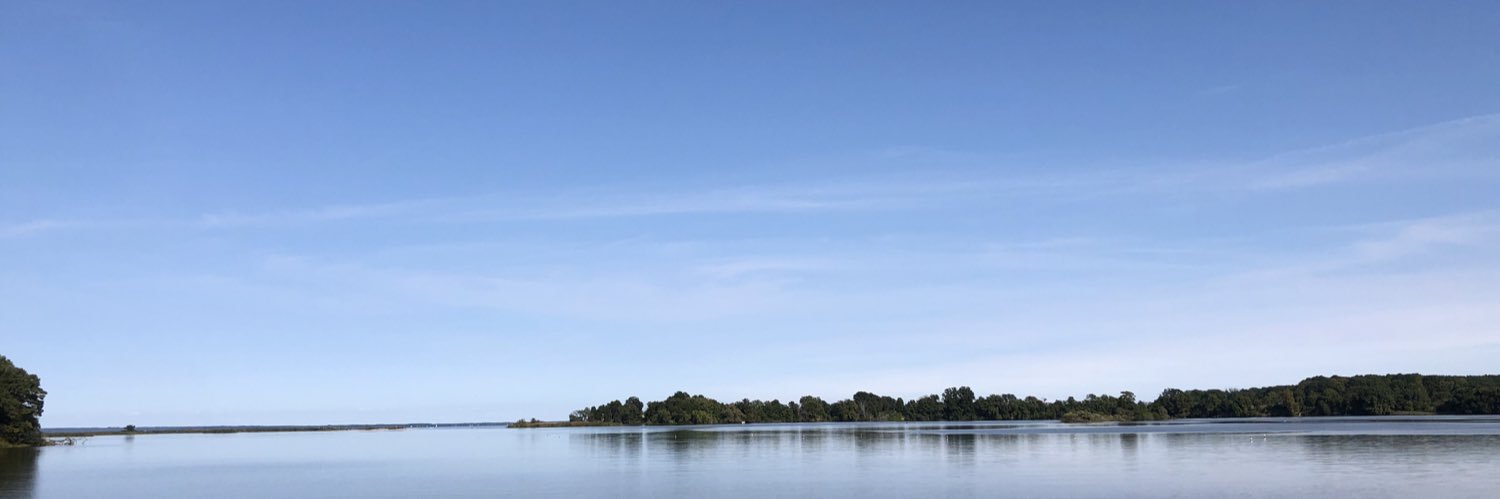 Sarah Dolan Schneider banner