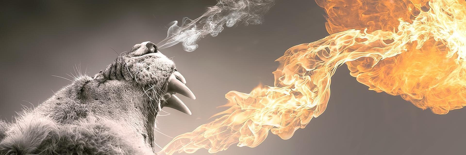 draspra's profile banner image
