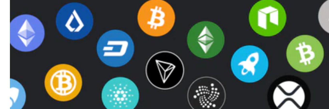 Ptak81's profile banner image