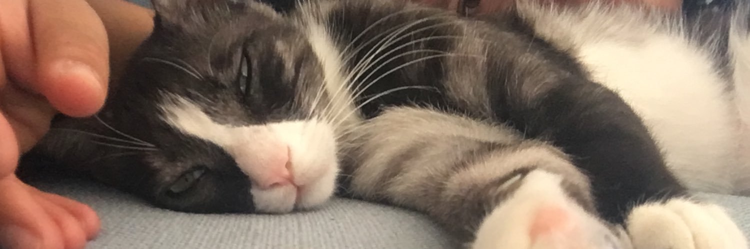 NicolePolen's profile banner image