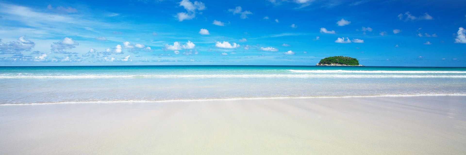 SHardyRealtor's profile banner image
