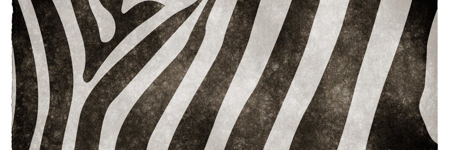 dee62383's profile banner image