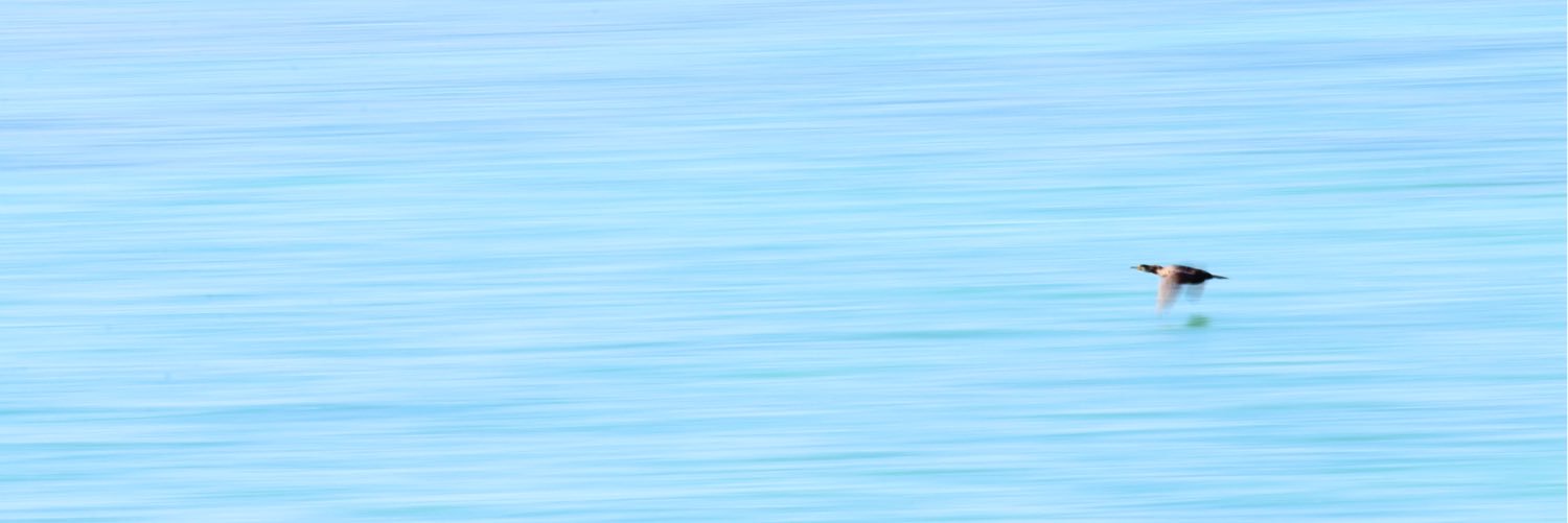 rayg2020's profile banner image