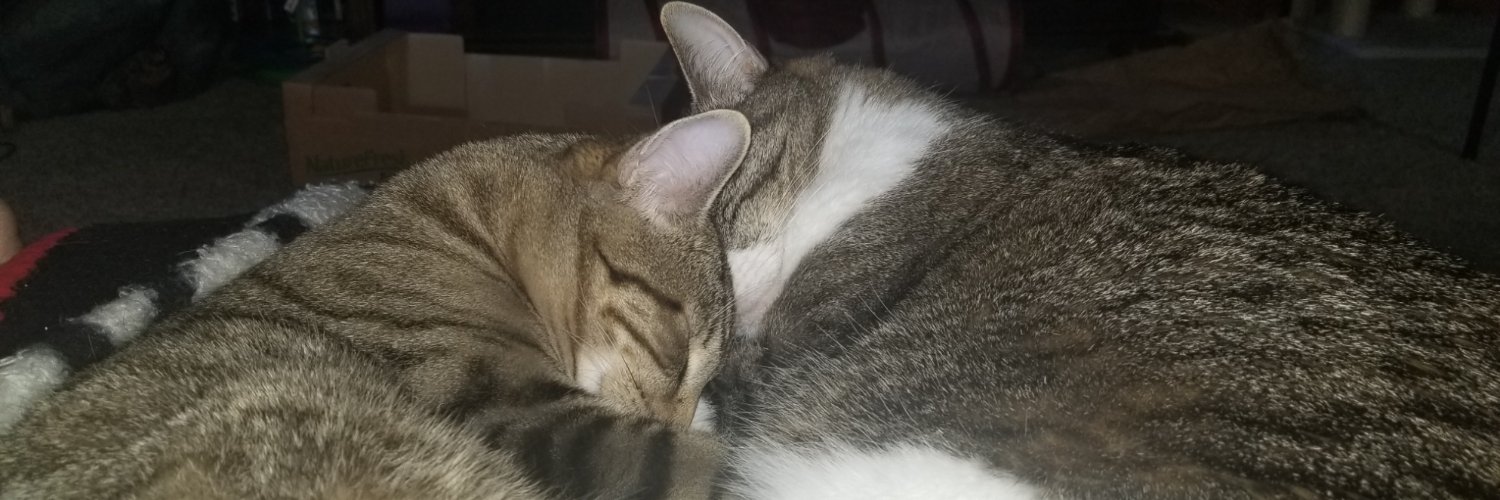 Higavin's profile banner image